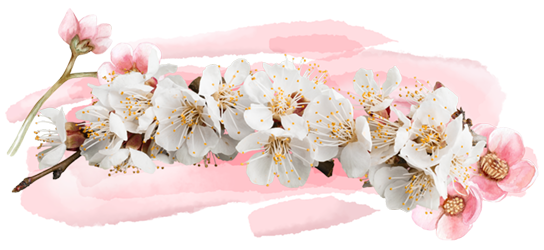 Prayer of Month floral